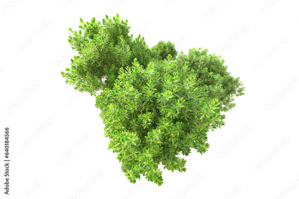 Fototapeta premium Landscape isolated on transparent background. 3d rendering - illustration