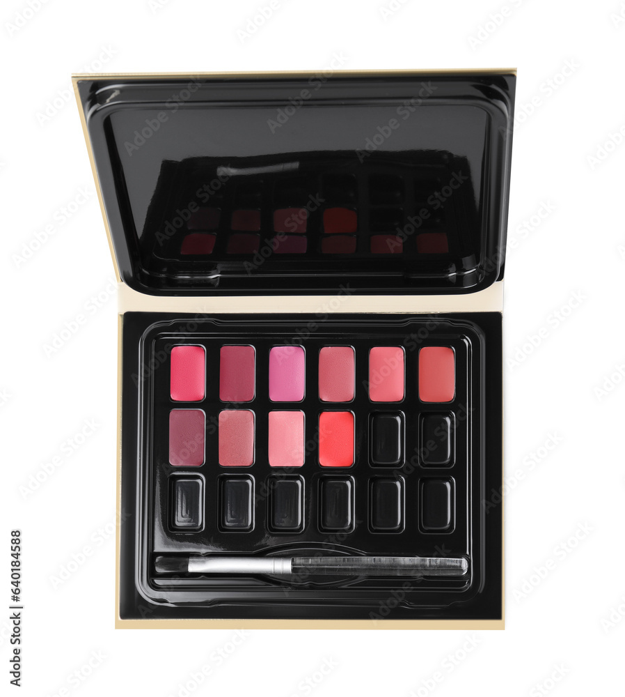 Colorful lip palette with brush isolated on white, top view. Professional cosmetic product Colorful lip palette with brush isolated on white, top view. Professional cosmetic product