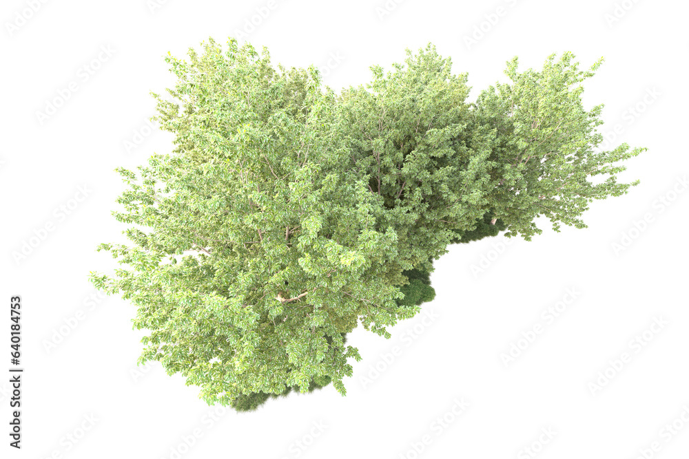 Fototapeta premium Landscape isolated on transparent background. 3d rendering - illustration