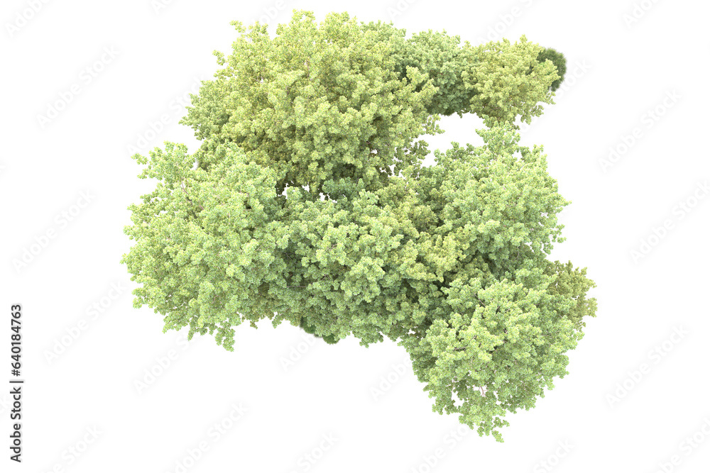 Landscape isolated on transparent background. 3d rendering - illustration