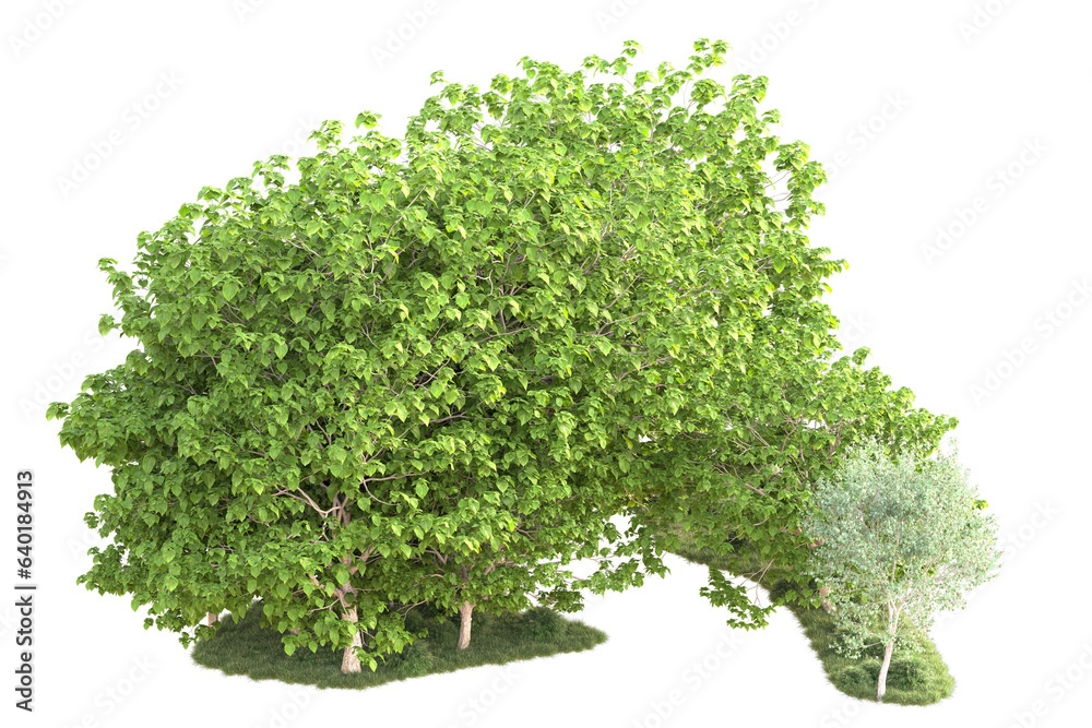 Naklejka premium Landscape isolated on transparent background. 3d rendering - illustration
