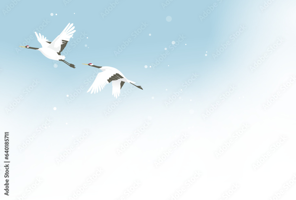 Fototapeta premium 冬空を飛ぶ丹頂鶴のイラスト