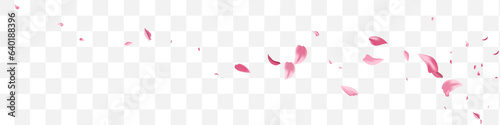 Pink Lotus Beauty Vector Transparent Panoramic
