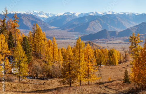 Autumn view, forest and mountains