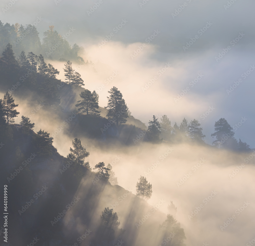 Fototapeta premium Morning in the mountains, fog and forest on the slope, rays of light