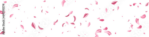 Beautiful Petal Fly Vector White Panoramic