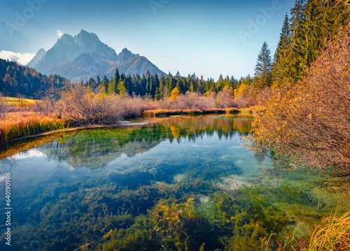Attractive autumn scene of Julian Alps with Kranjska Gora peak on background. Captivating morning view of Zelenci nature reserve, Slovenia, Europe. Beauty of nature concept background.
