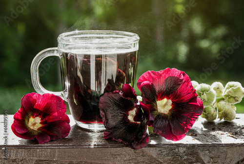 Herbal medicinal tea drink made of Alcea Rosea Nigra, Alcea rosea, the common hollyhock, Alcea rosea. Glass cup with tea against nature background fresh flower petals scattered.