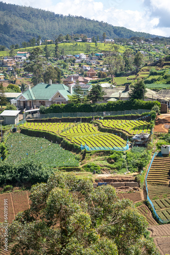 Landscape view of Nuwara Eliya with tea plantations in mountains of Sri Lanka