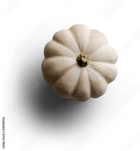 White Pumpkin photo