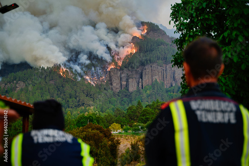 Unrecognizable firefighters standing near burning forested mountain