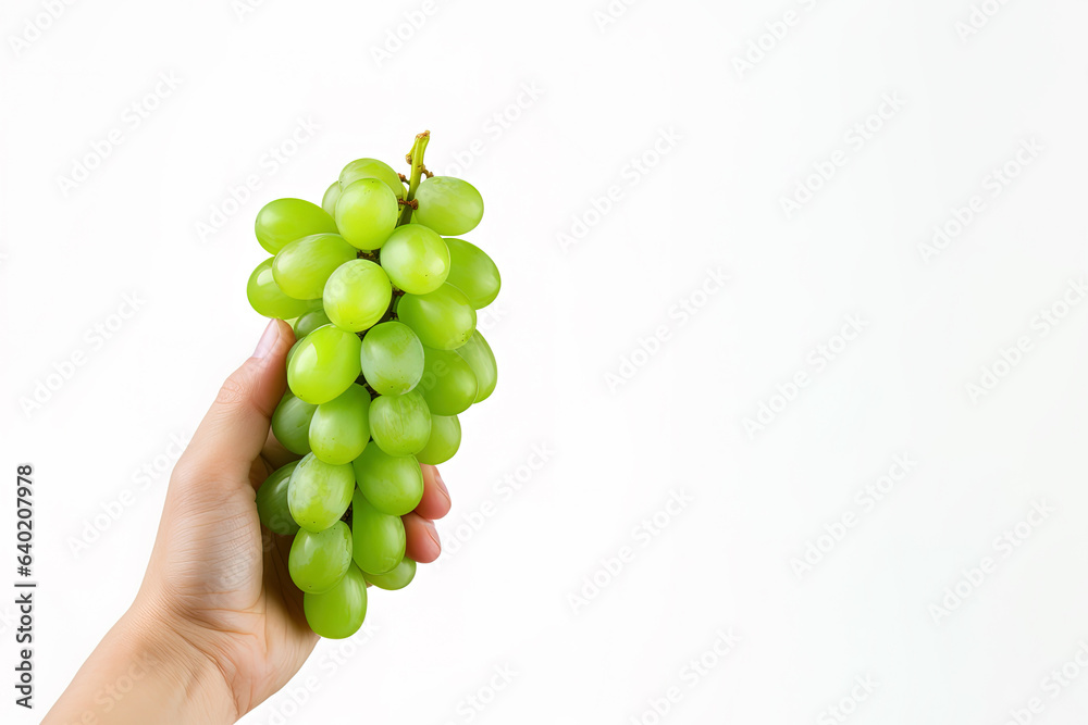 Hand holding green grapes bunch isolated on white background with copy space Hand holding green grapes bunch isolated on white background with copy space