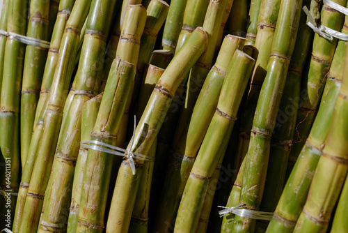 Close up view at bunch of sugar cane.