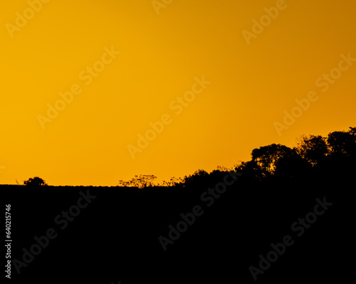 beautiful and golden sunset