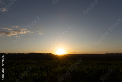 beautiful and golden sunset