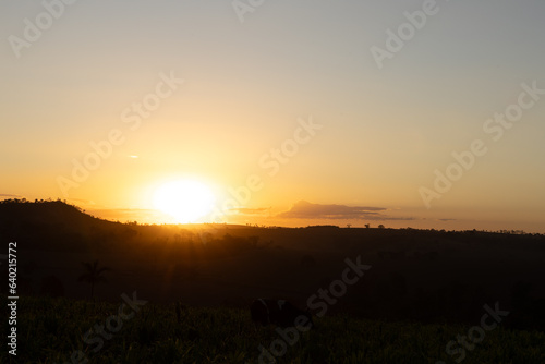 beautiful and golden sunset