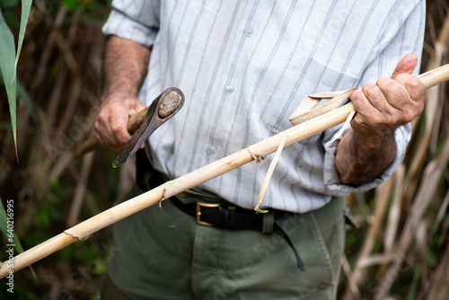 halloween image with a detail of weathered hands with an axe chopping a cane, older rural man, dressed in camouflage trousers and striped shirt.