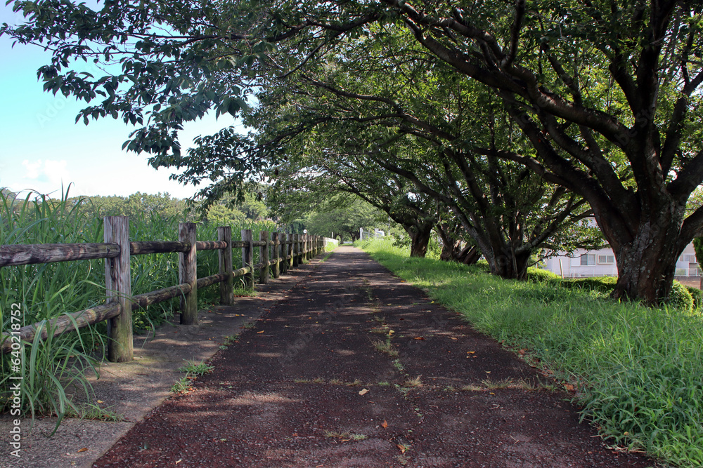 長崎県大村の池田湖の外周歩道