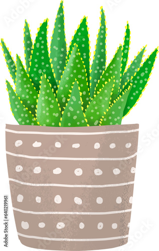 観葉植物アロエのイラスト