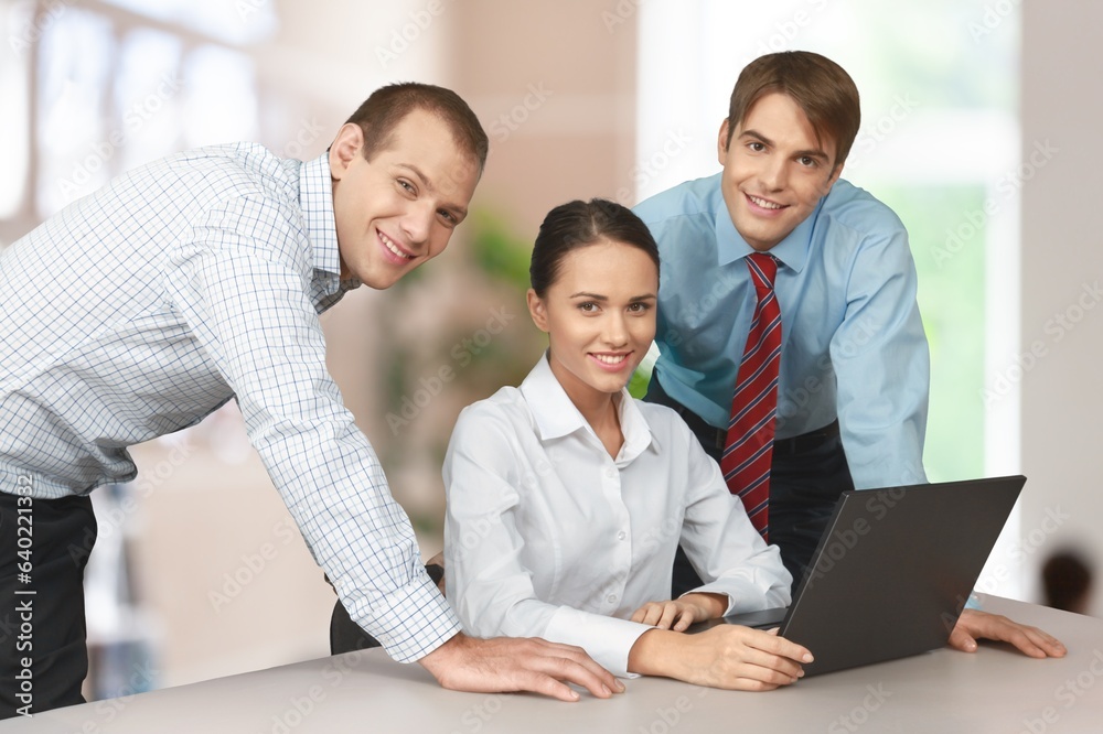 Fototapeta premium Web developers work on computer together