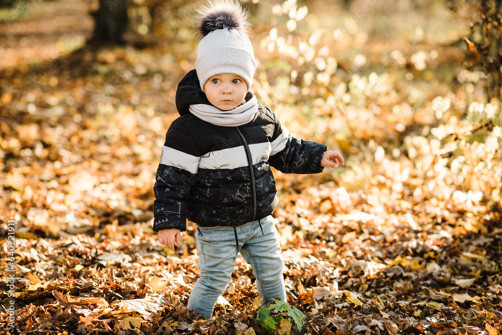Child runs on yellow leaves in park. Boy playing and walking in forest at sunset. Little son play with fall golden autumn leaves. Family holiday in nature. Photo portrait toddler closeup in sunlight. Child runs on yellow leaves in park. Boy playing and walking in forest at sunset. Little son play with fall golden autumn leaves. Family holiday in nature. Photo portrait toddler closeup in sunlight.