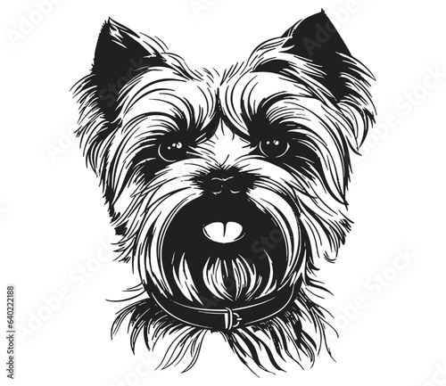 dog portrait york