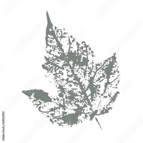 Vector monochrome botanical element. Leaf imprint isolated on white background.