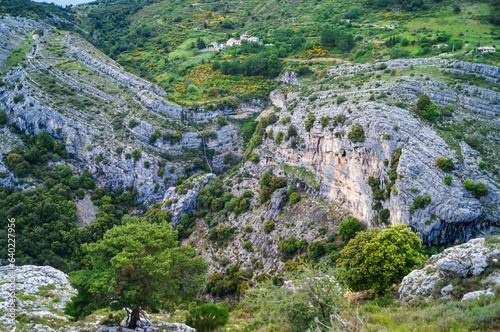 Escragnolles, a village in foothills of the Alps above Grasse, stretches across hillsides below Route Napoléon, facing the Forêt de Briasq. Forest populated with white and. holm oak on shady hillsides photo