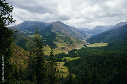 landscape in the mountains