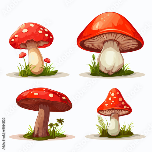 Set of mushrooms on a white background