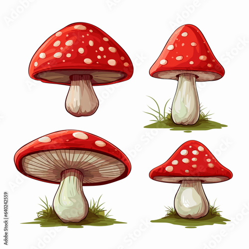 Set of mushrooms on a white background