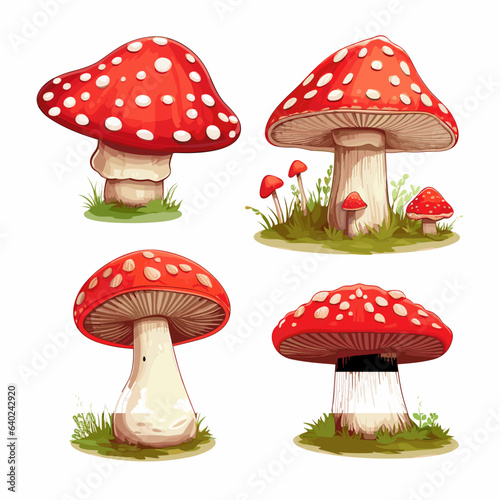 Set of mushrooms on a white background