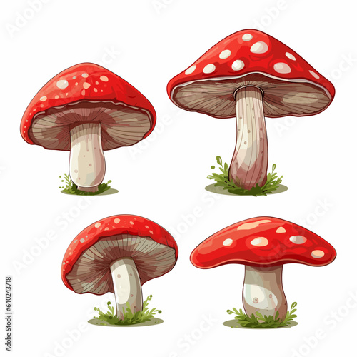 Set of mushrooms on a white background