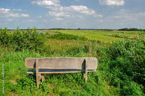 Tienhoven, The Netherlands, August 23, 2023: wooden bench on a low hill, overlooking a green and wet landschape in Tienhovense Plasse nnature reserve photo