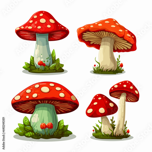 Set of mushrooms on a white background