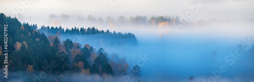 Mist over the forest and valley, aerial view, fall