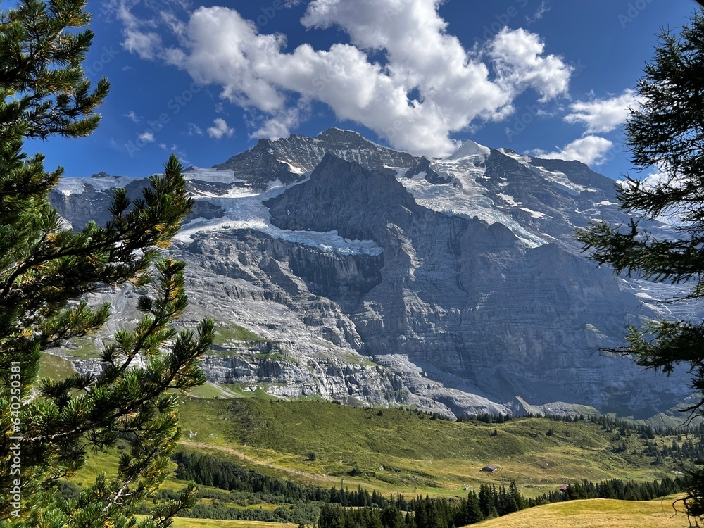 Jungfraujoch Swiss Alps