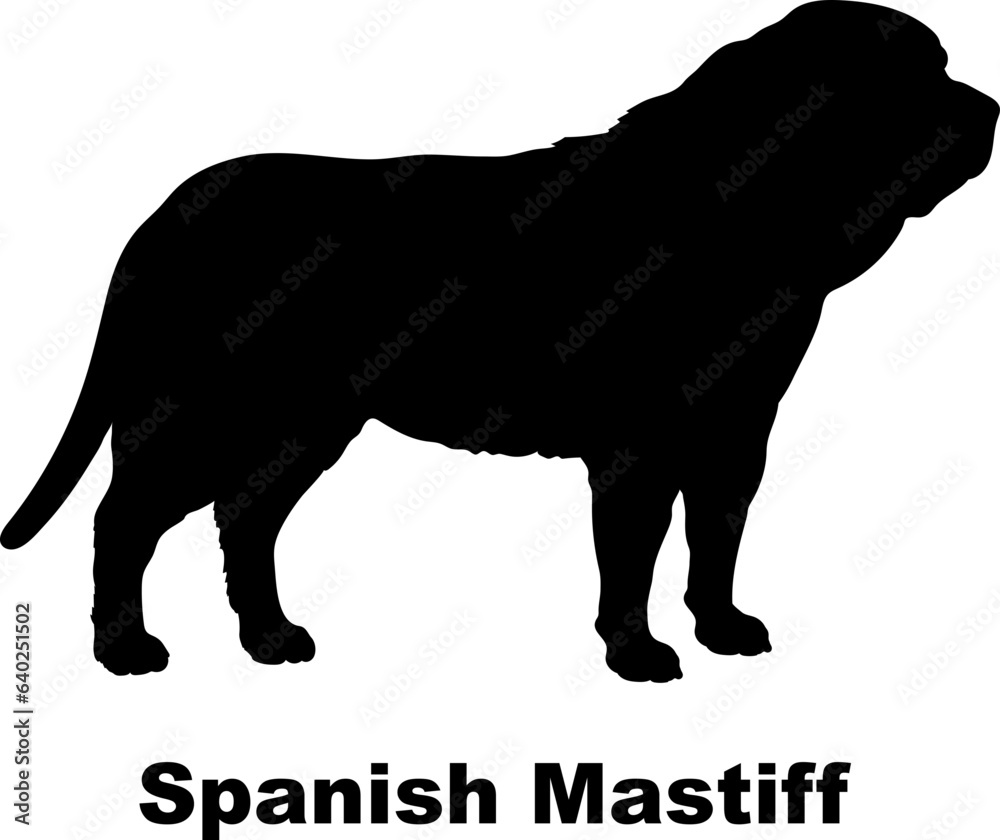  Spanish Mastiff dog silhouette dog breeds Animals Pet breeds silhouette