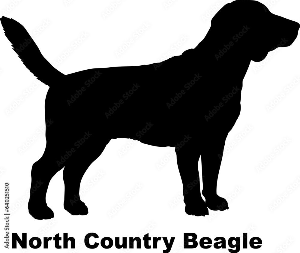 North Country Beagle dog silhouette dog breeds Animals Pet breeds silhouette