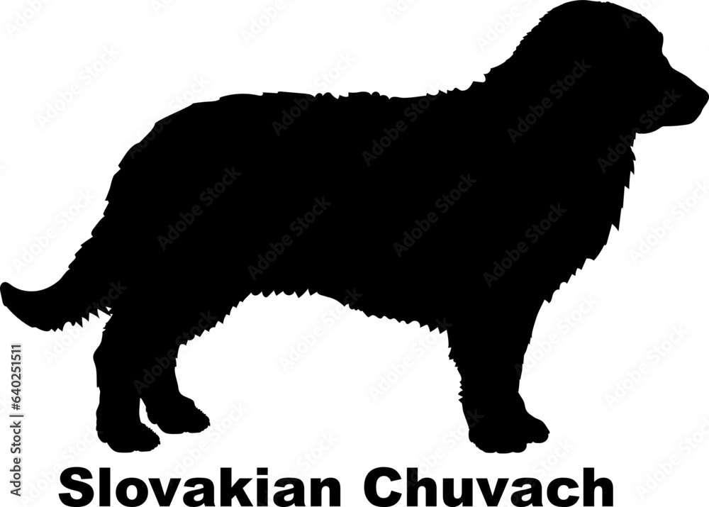 Slovakian Chuvach dog silhouette dog breeds Animals Pet breeds silhouette