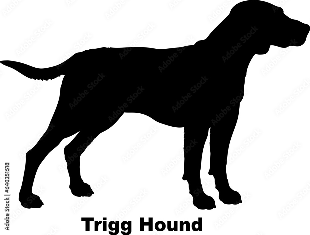 Trigg Hound dog silhouette dog breeds Animals Pet breeds silhouette Trigg Hound dog silhouette dog breeds Animals Pet breeds silhouette