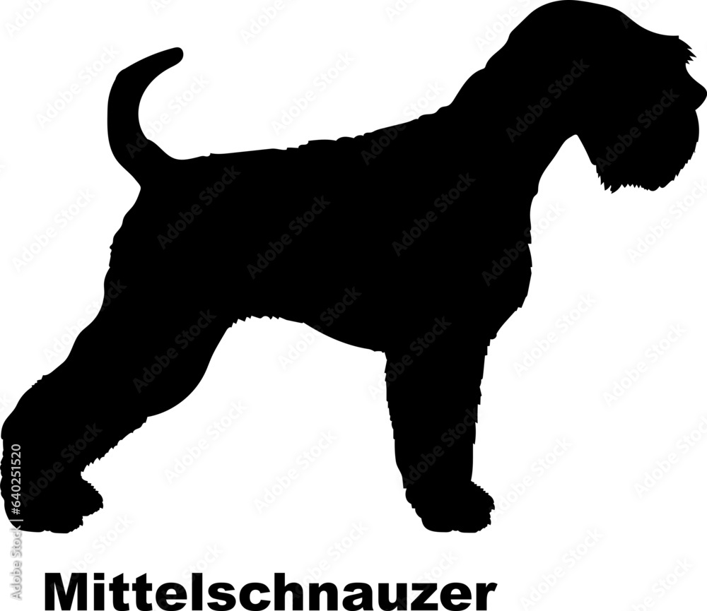 Mittelschnauzer dog silhouette dog breeds Animals Pet breeds silhouette