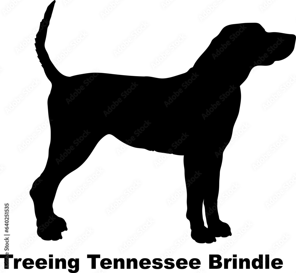 Treeing Tennessee Brindle dog silhouette dog breeds Animals Pet breeds silhouette