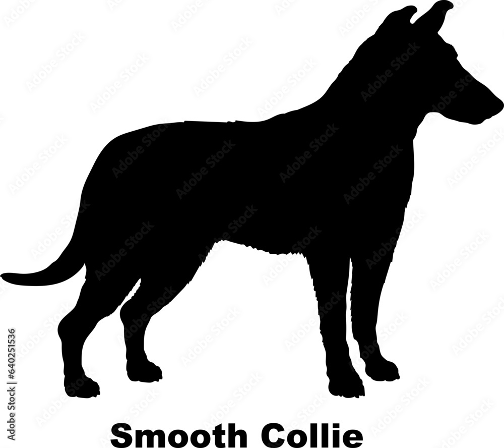 Smooth Collie. dog silhouette dog breeds Animals Pet breeds silhouette Smooth Collie. dog silhouette dog breeds Animals Pet breeds silhouette
