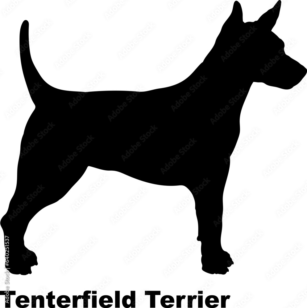 Tenterfield Terrier. dog silhouette dog breeds Animals Pet breeds silhouette