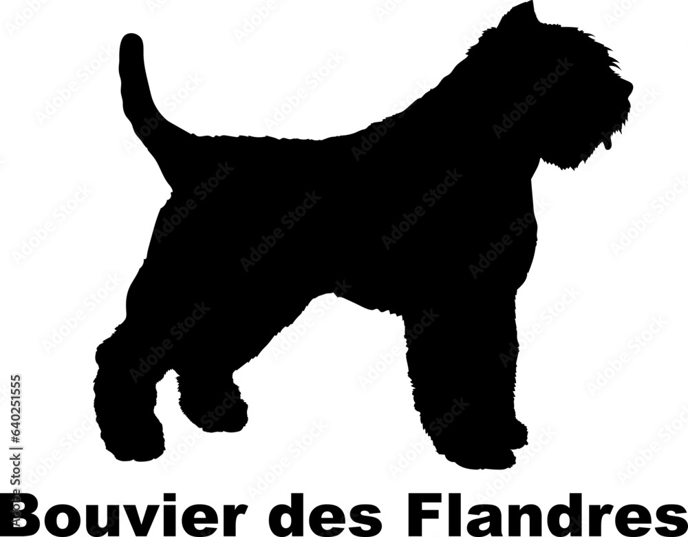  Bouvier des Flandres dog silhouette dog breeds Animals Pet breeds silhouette