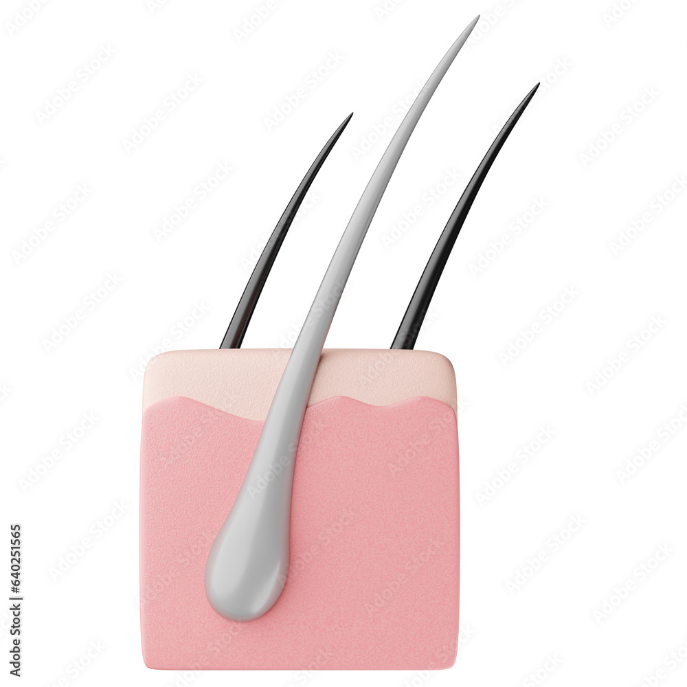 Gray hair with skin layer for hair treatment and care concept. 3D ...