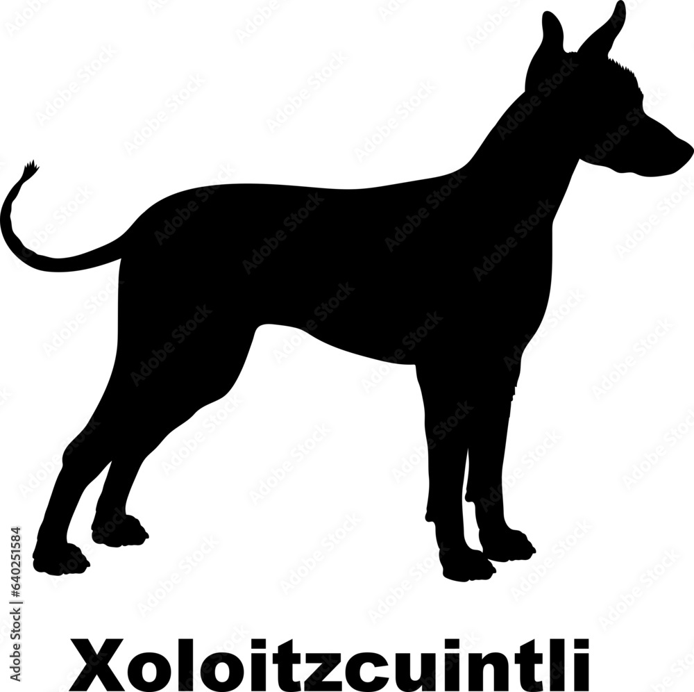 Xoloitzcuintli dog silhouette dog breeds Animals Pet breeds silhouette