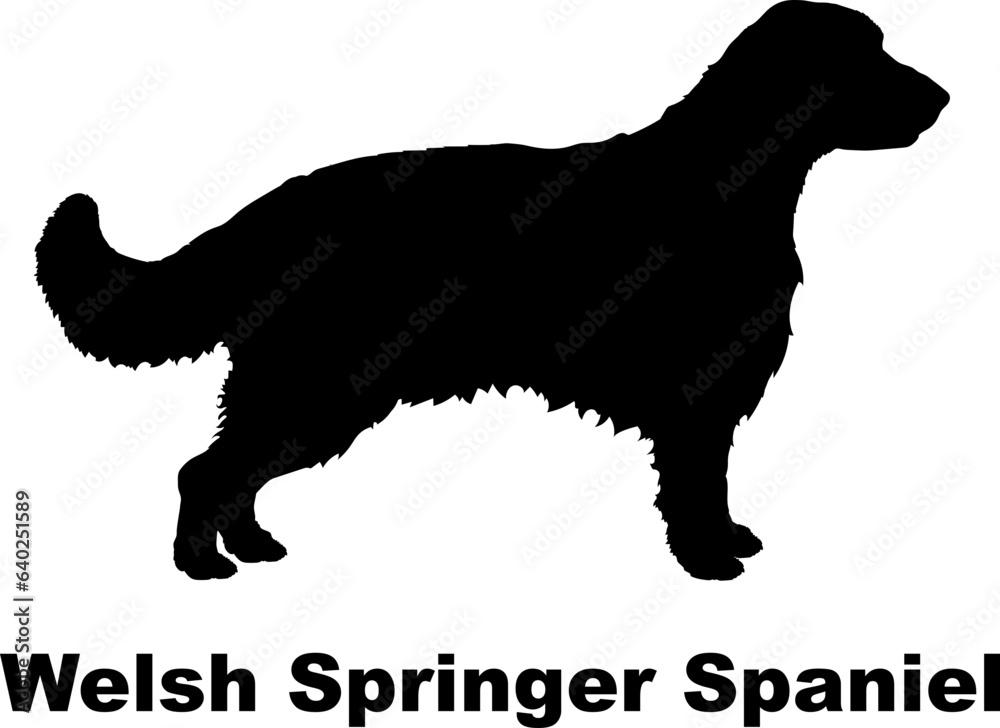 Welsh Springer Spaniel dog silhouette dog breeds Animals Pet breeds silhouette