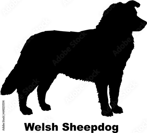  Welsh Sheepdog dog silhouette dog breeds Animals Pet breeds silhouette
